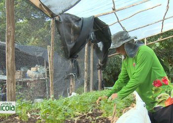Reveja os destaques do Estação Agrícola deste domingo