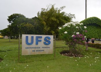 UFS atua com MPF e Polícia Civil para apurar morte de pelo menos 14 gatos no campus de São Cristóvão