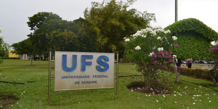 UFS atua com MPF e Polícia Civil para apurar morte de pelo menos 14 gatos no campus de São Cristóvão